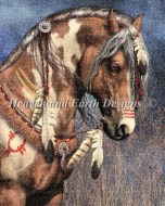 HAED War Pony